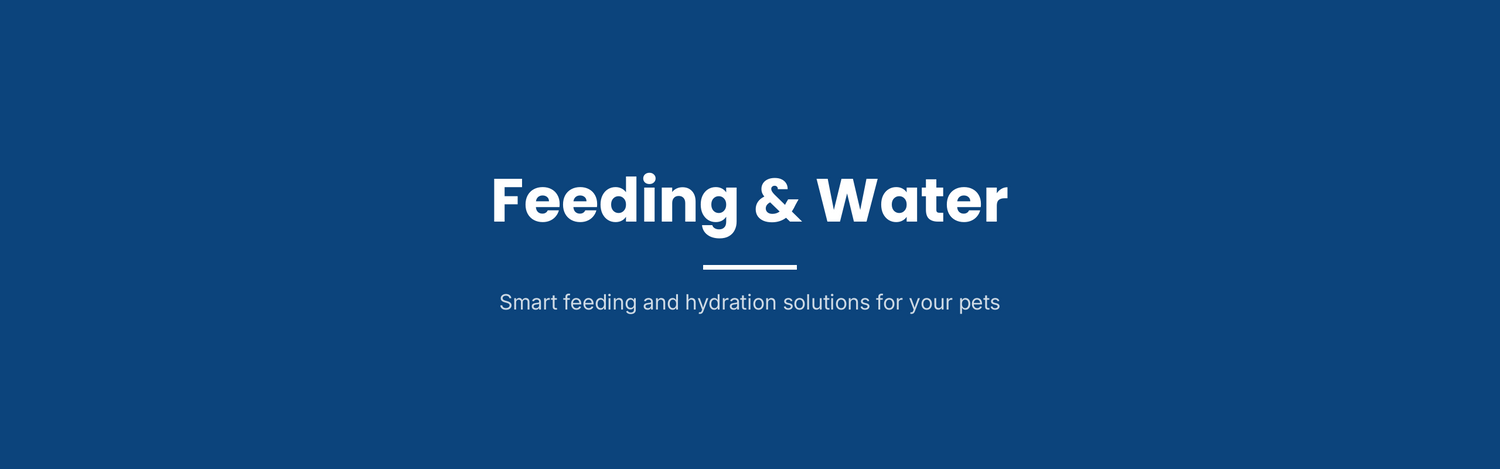 Feeding & Water